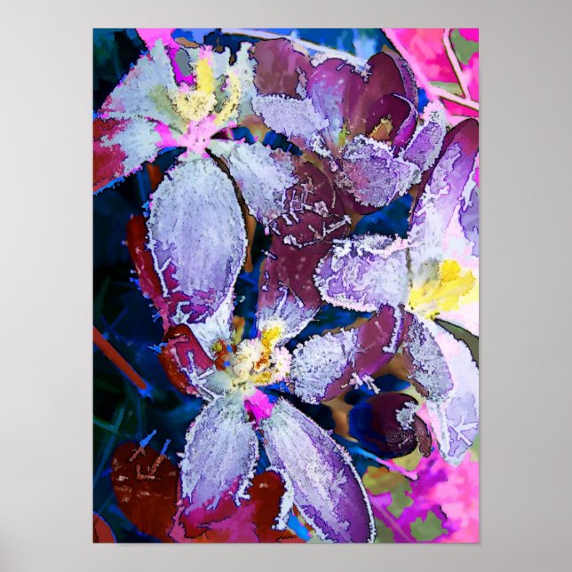 BLOMMOR POSTER (Framsidan)