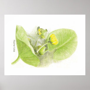Blommor Poster