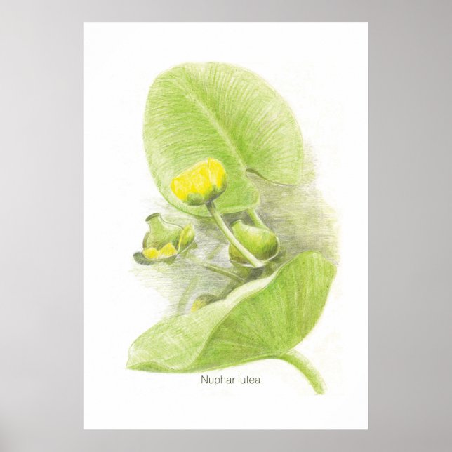 Blommor Poster (Framsidan)