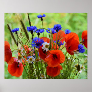 Blommor Poster