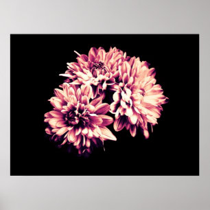 Blommor Poster