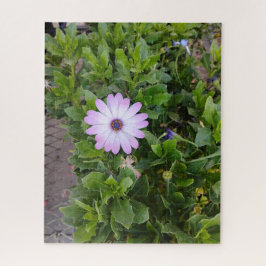 Blommor pussel