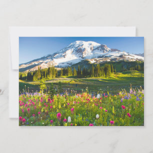 Blommor Rainier Wildblommor Tack Kort