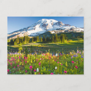Blommor   Rainier Wildblommor   Vykort