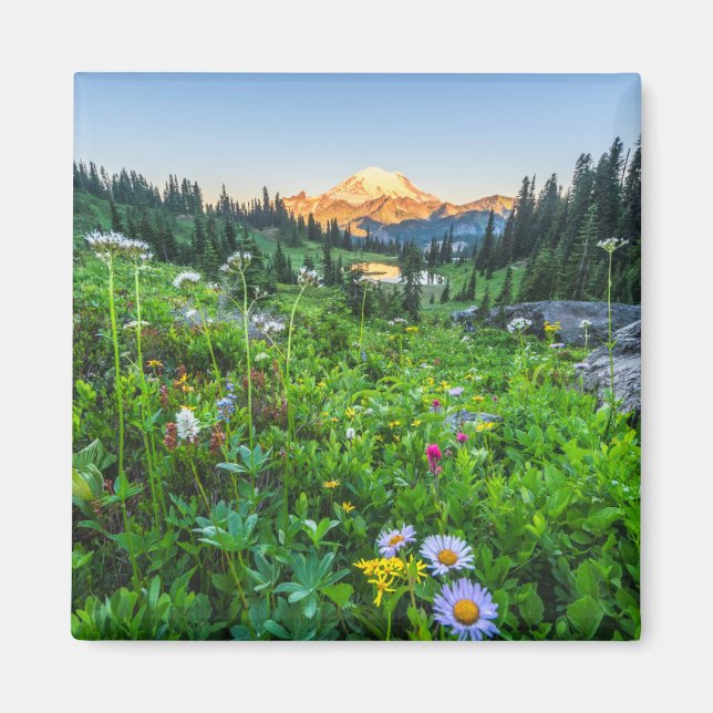 Blommor | Rainiers nationalpark Magnet (Framsidan)