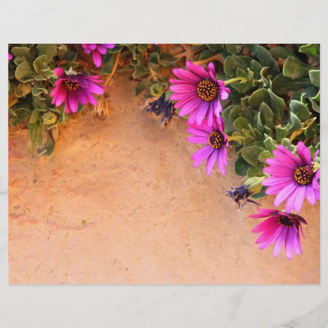 Blommor ram reklamblad (Framsidan)