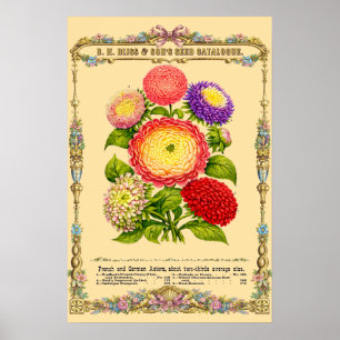 Blommor Retro Viktoriansk Tid Botanisk Konst Poster