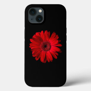 Blommor Röd Gerbera Daisy