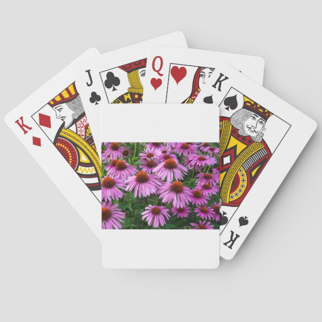 Blommor | Rosa Coneflower Garden Casinokort (Baksidan)
