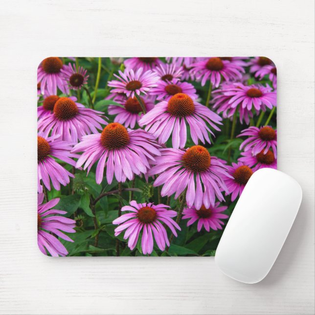 Blommor | Rosa Coneflower Garden Musmatta (Med mus)