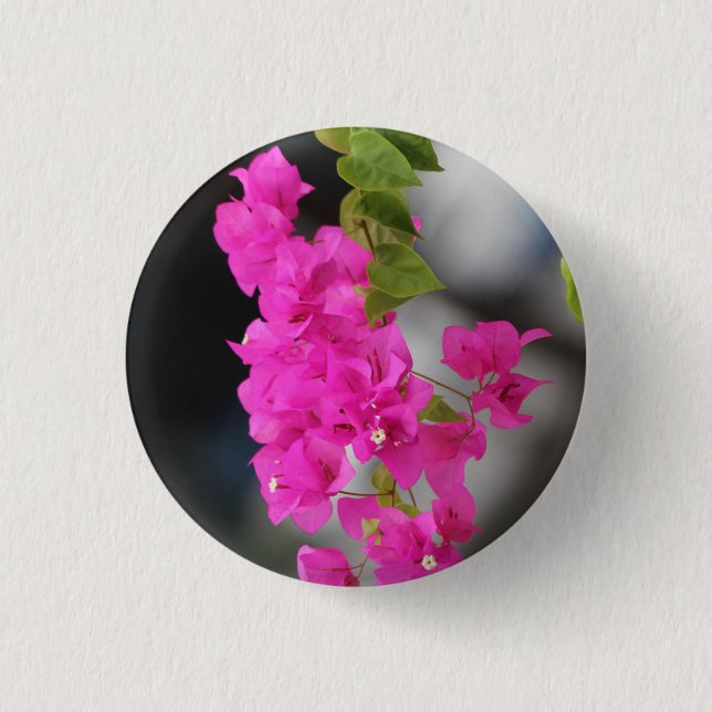 blommor rosa knapp (Framsida)