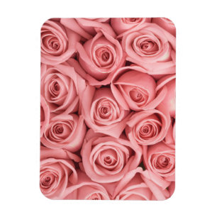 Blommor ROSA ROS Magnet