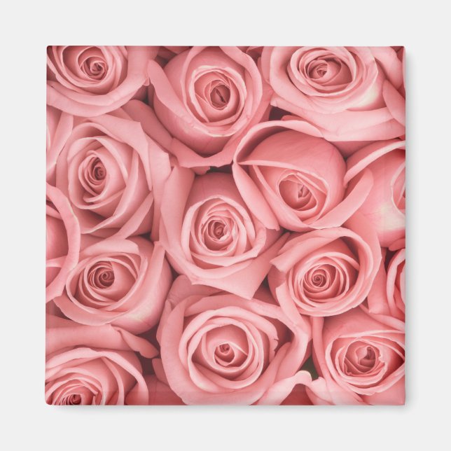 Blommor | ROSA ROS Magnet (Framsidan)