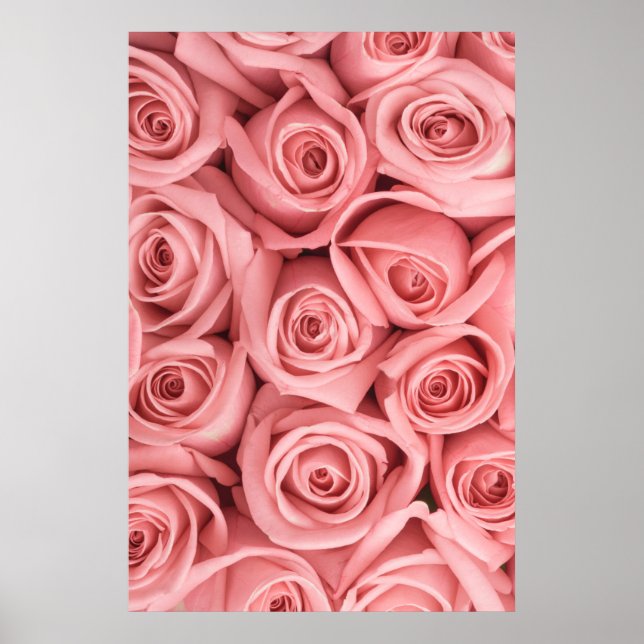 Blommor | ROSA ROS Poster (Framsidan)