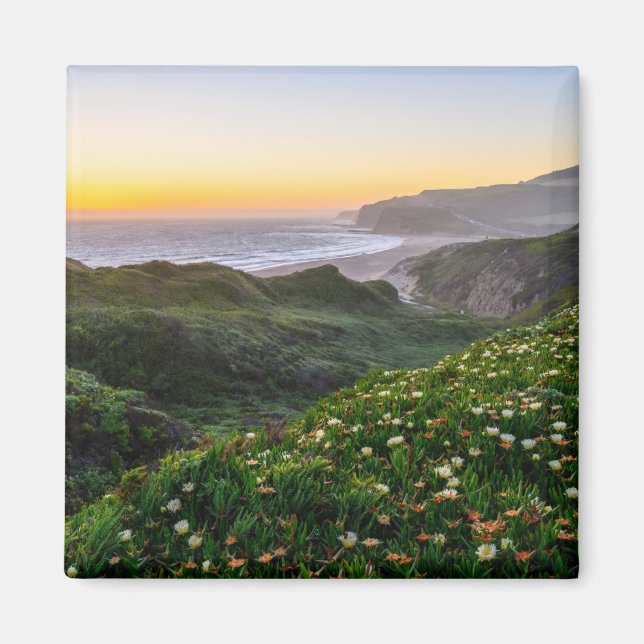 Blommor | Santa Cruz California Magnet (Framsidan)