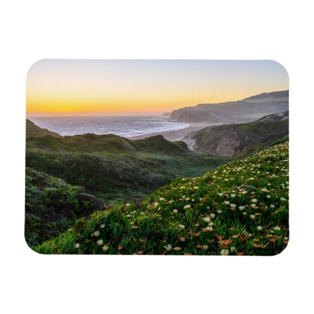 Blommor | Santa Cruz California Magnet (Horisontell)