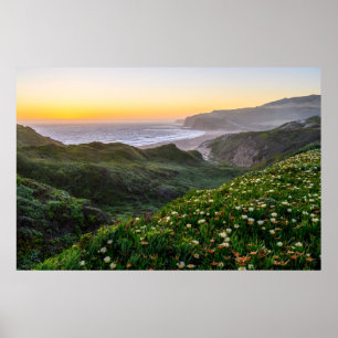 Blommor Santa Cruz California Poster