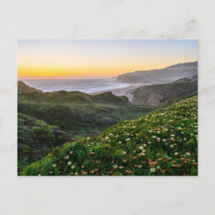 Blommor Santa Cruz Kalifornien Vykort