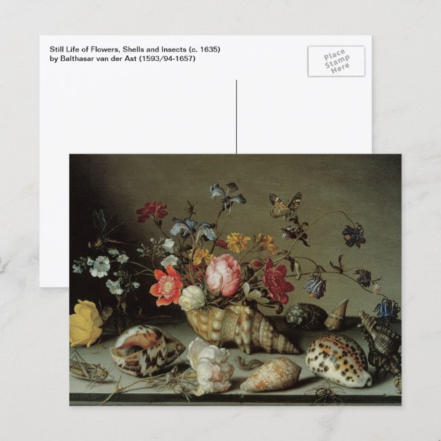 Blommor, snäckor och insekter Balthasar van der As Vykort (Fram/baksida)