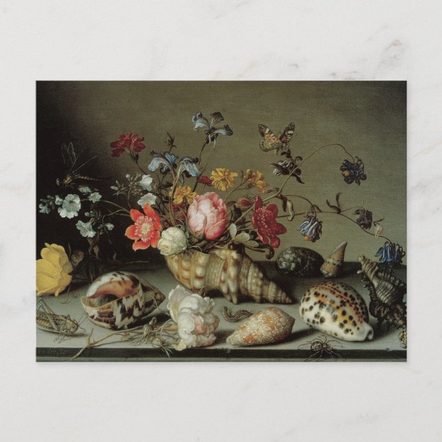 Blommor, Snäckor och Insektra Balthasar van der As Vykort (Framsida)