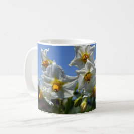 Blommor Solanum tuberosum Kaffemugg
