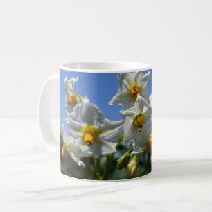 Blommor Solanum tuberosum Kaffemugg