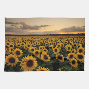 Blommor Solros Fält Kökshandduk