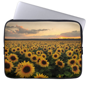 Blommor Solros Fält Laptop Fodral