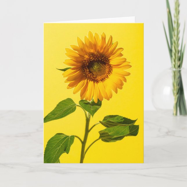 Blommor | Solros på Gult Kort (Framsida)