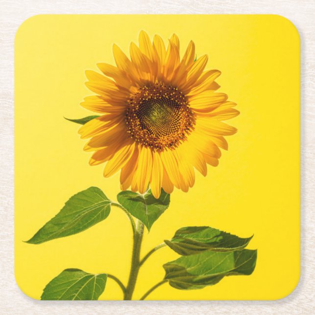 Blommor | Solros på Gult Underlägg Papper Kvadrat (Framsidan)