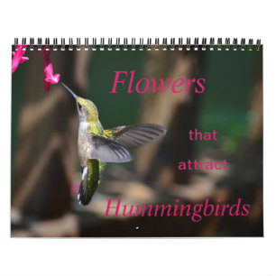 Blommor som drar till sig Hummingbird Calendar Kalender