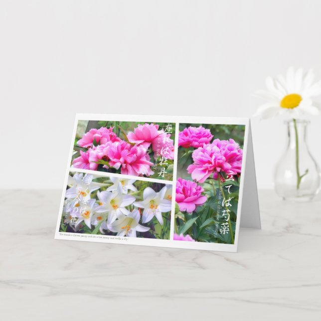 Blommor som jämförs med en skönhet kort (Liten växt)