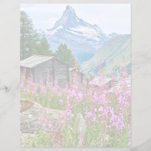 Blommor Sommar Matterhorn Schweiz