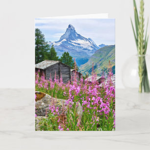 Blommor Sommar Matterhorn Schweiz Kort