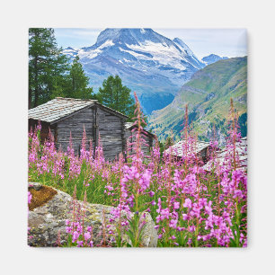 Blommor Sommar Matterhorn Schweiz Magnet