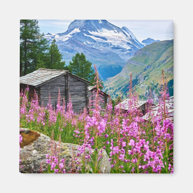 Blommor | Sommar Matterhorn Schweiz Magnet (Framsidan)