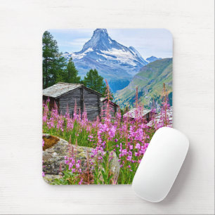Blommor Sommar Matterhorn Schweiz Musmatta