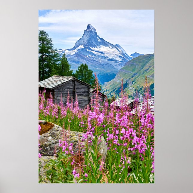 Blommor | Sommar Matterhorn Schweiz Poster (Framsidan)