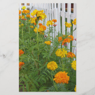 Blommor & staket brevpapper