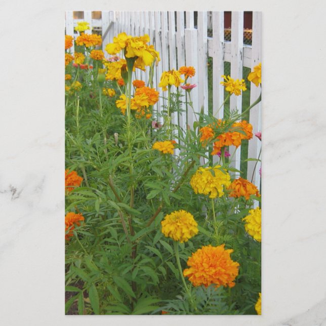 Blommor & staket brevpapper (Framsida)
