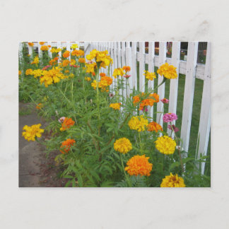 Blommor & staket vykort