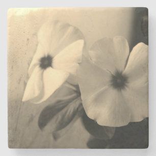 Blommor, svart, vitt, Underlägg fotostapel