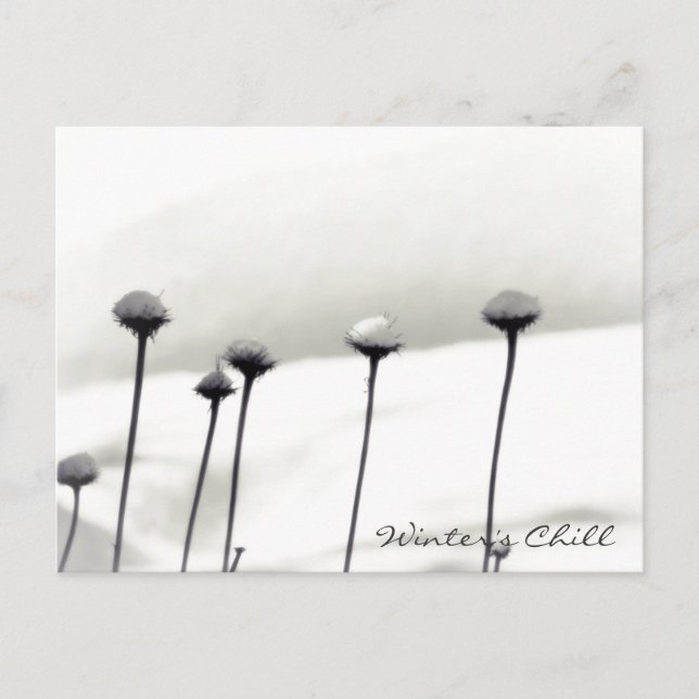 Blommor täckta av snö vykort (Framsida)
