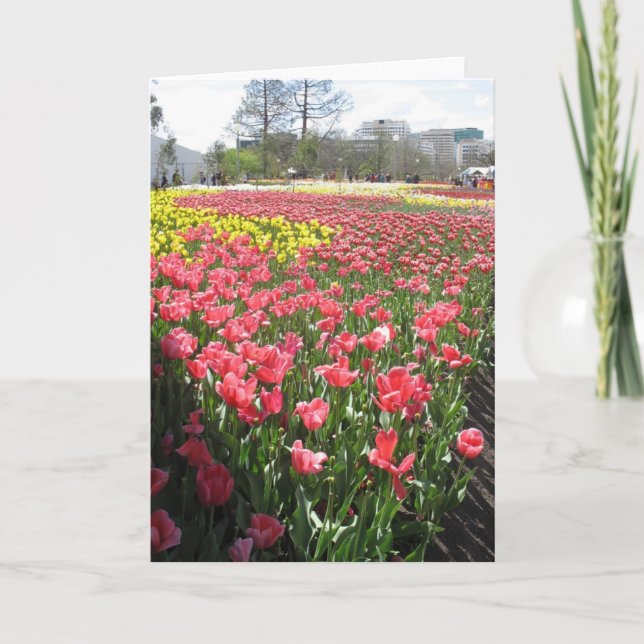 blommor, tänka på dig kort (Framsida)