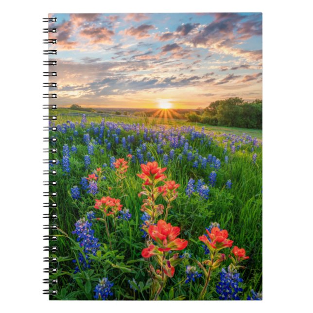 Blommor | Texas Bluebonnets & Indian Paintbrush Anteckningsbok (Framsidan)