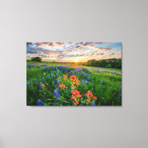 Blommor Texas Bluebonnets & Indian Paintbrush Canvastryck