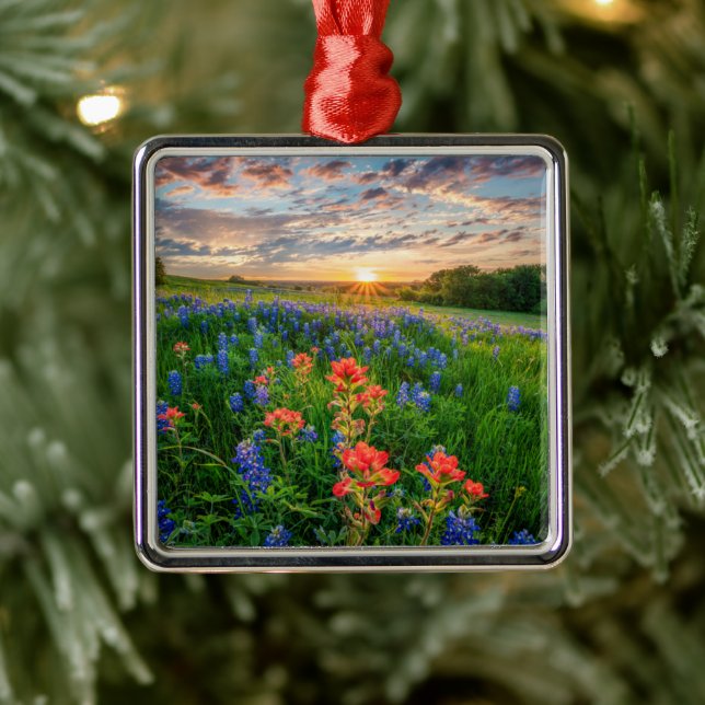 Blommor | Texas Bluebonnets & Indian Paintbrush Julgransprydnad Metall (Träd)