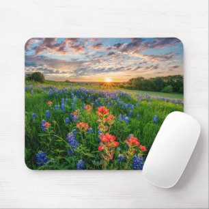 Blommor Texas Bluebonnets & Indian Paintbrush Musmatta