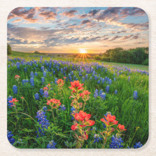 Blommor Texas Bluebonnets & Indian Paintbrush Underlägg Papper Kvadrat
