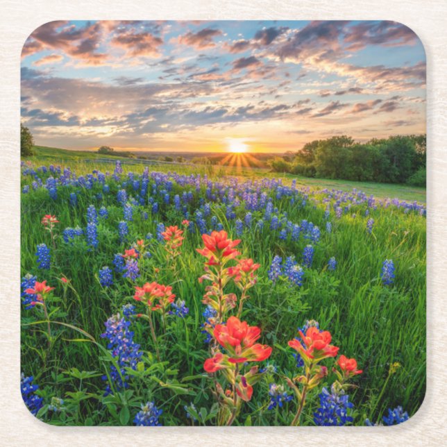 Blommor | Texas Bluebonnets & Indian Paintbrush Underlägg Papper Kvadrat (Framsidan)
